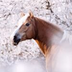 IMG-20220326-WA0004