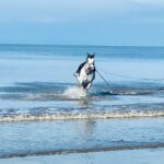 ash-seddon-ho9SvwxX6NI-unsplash