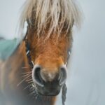 juan-encalada-sP0ogyPfkQw-unsplash