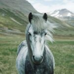 oscar-nilsson--Ylz_tc8NOk-unsplash